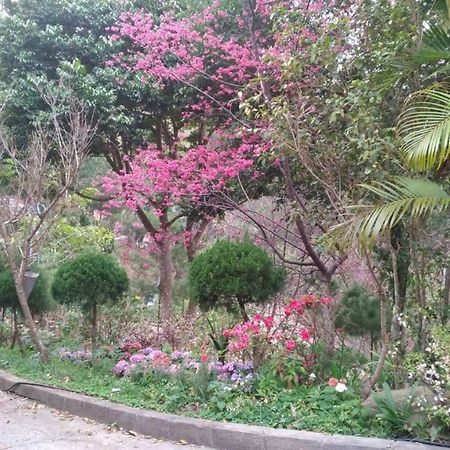 Ruyi Yuan Homestay Tongxiao Exterior foto